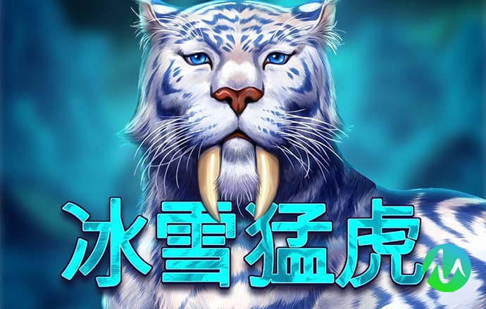 9555cc开元下载